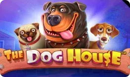 Play The Dog House at Golden Pharaoh